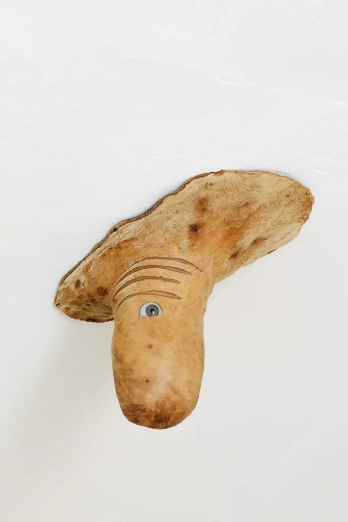 Sculpture de l'artiste français Jean-Marie Perdrix intitulée Votre paire, réalisée en 2017 au Burkina Faso à l'aide d'une peau de scrotum de zébu et d'un oeil de verre